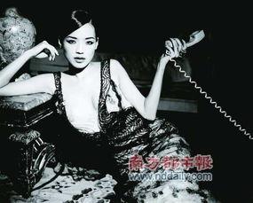 冯小刚舒淇天涯八卦,揭秘娱乐圈幕后风云